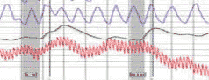 polygraph test Sonoma ounty